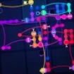 4D Snake with Time travel and Quantum Physics