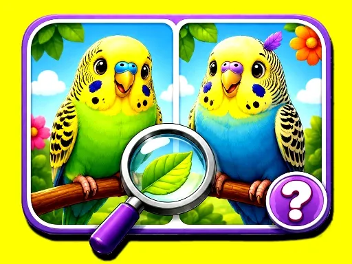 Budgie Spot the Difference