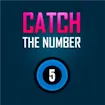 Catch The Number