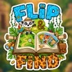 Flip & Find