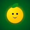 Fruit Match Quest