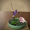 Quiet Ikebana