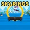 Sky Rings